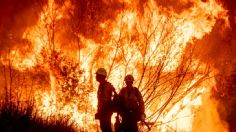 Bomberos mexicanos se suman al combate de los catastróficos incendios en Los Ángeles, California