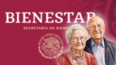 Programas del Bienestar en la Laguna: ¿qué tarjetas se entregarán este 2025?