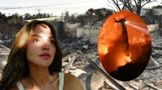 Eiza Gonzáles realiza jugosa donación para las familias latinas que "perdieron todo" en los incendios de California