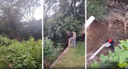 Rescatan a dos cachorritos atrapados en barranca de 25 metros de profundidad de Álvaro Obregón | VIDEO