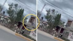 Captan en VIDEO a sujeto dar brutal golpiza a un perro en Hidalgo | IMÁGENES FUERTES