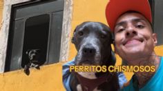 ¿Quién es el "perrito más chismoso de Puebla"? Tras hacerse viral, Fer Carnal da horarios para ir a gritarle