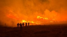 Más de 100 hectáreas fueron consumidas de maleza y vehículos consumidos por el fuego en Rosarito