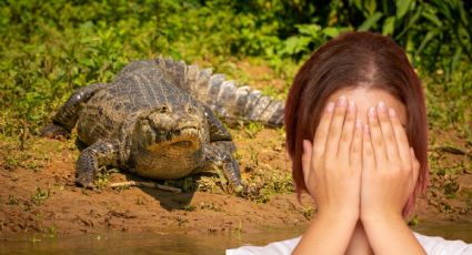 Cocodrilo se lleva a niña que se bañaba en un lago, el dramático rescate termina en tragedia