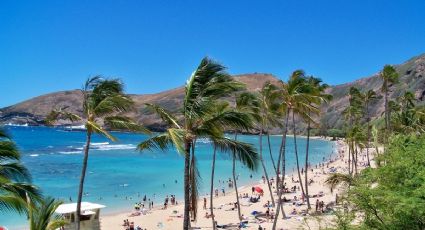 Estudiante viaja de vacaciones y muere tras caer de un sendero en Hawái durante Año Nuevo