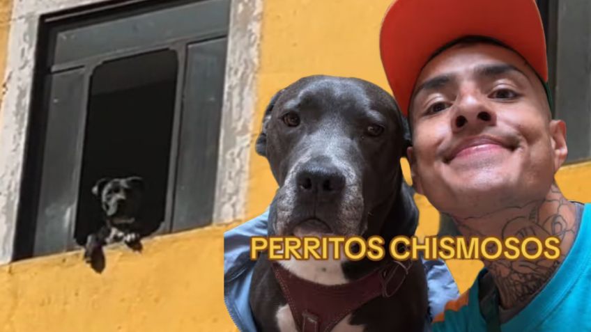 ¿Quién es el "perrito más chismoso de Puebla"? Tras hacerse viral, Fer Carnal da horarios para ir a gritarle