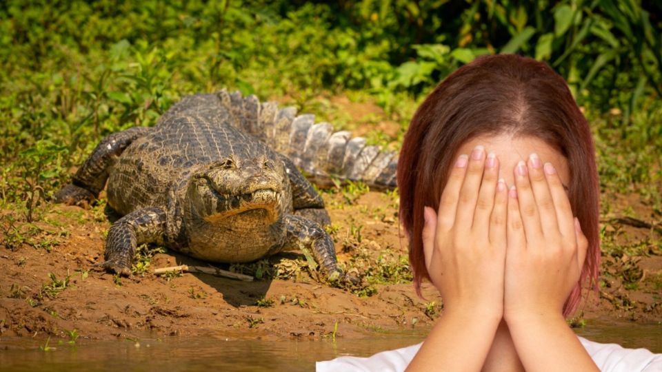 El cocodrilo se llevó a la niña.