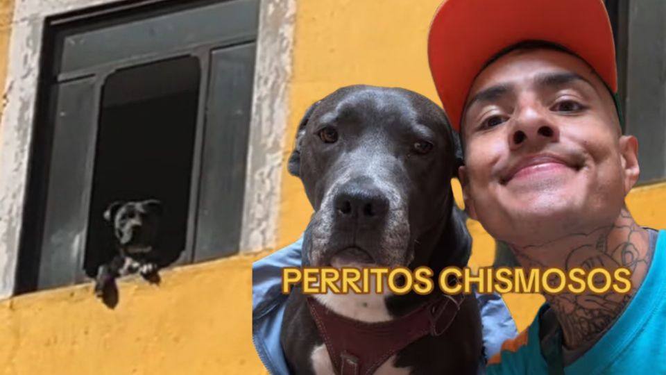 ¿Ya conocías al amado perrito?