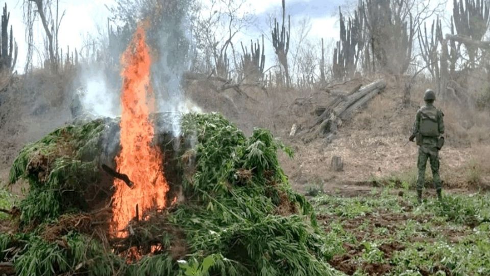 En Sinaloa, elementos del Ejército Mexicano aseguraron 1,590 litros de sustancias para la elaboración de metanfetamina