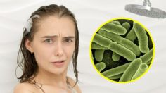 Emiten urgente ALERTA SANITARIA por SHAMPOO que no debe usarse, está contaminado con peligrosa BACTERIA