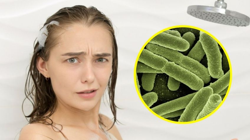 Emiten urgente ALERTA SANITARIA por SHAMPOO que no debe usarse, está contaminado con peligrosa BACTERIA