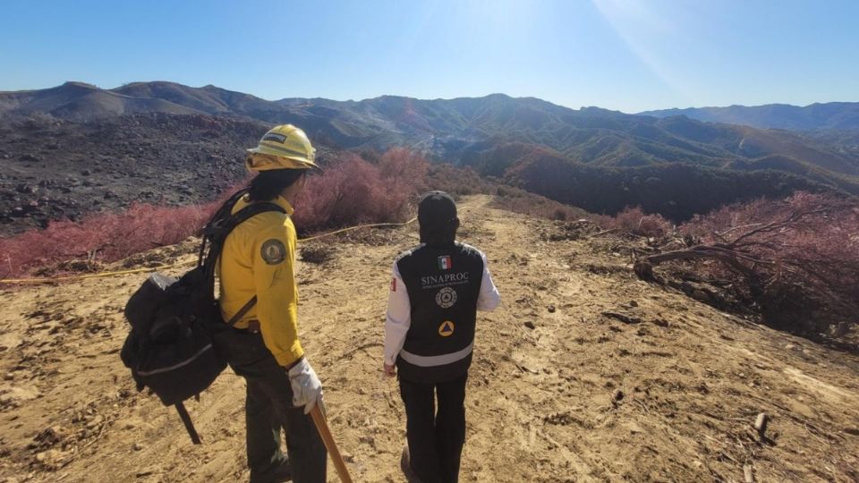 Informan sobre las diversas acciones de apoyo durante el 14 de enero