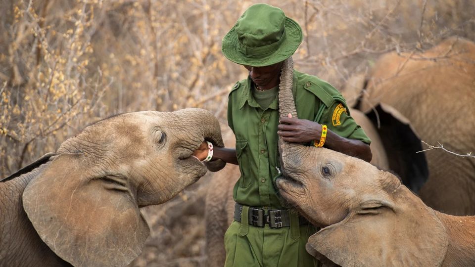 Reteti es un espacio en pro de los elefantes, uno de los Cinco grandes de África.