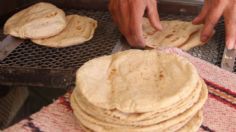 Precio de la tortilla: ¿En qué estado se vende más caro el kilo de este producto esencial para los mexicanos?