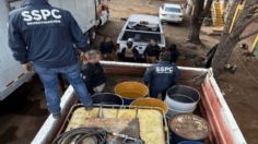 Detienen a nueve personas en posesión de hidrocarburo, drogas y un arma en el Estado de México