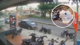 Foto que representa a Motociclista muere en plena calle tras ser aplastado por un enorme árbol | VIDEO FUERTE