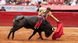 Foto que representa a La fiesta del Toreo ¿Tradición y cultura? ¿o una fiesta salvaje?