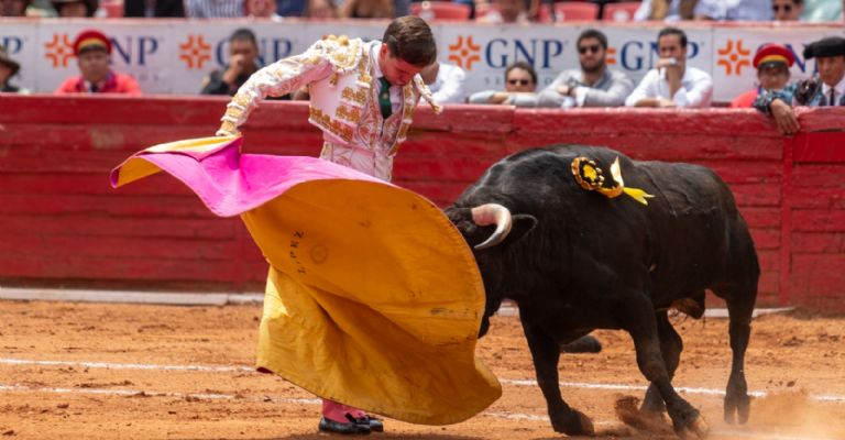 Corridas de toros en México