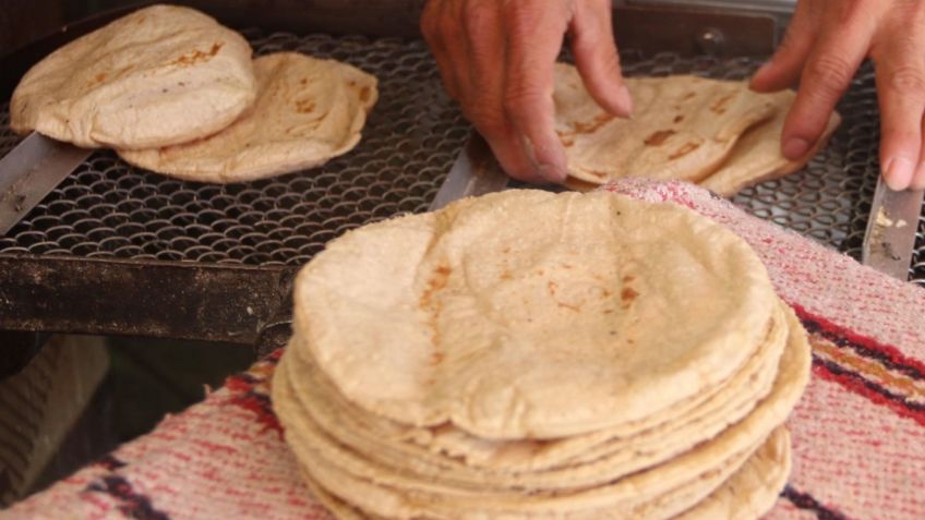 Precio de la tortilla: ¿En qué estado se vende más caro el kilo de este producto esencial para los mexicanos?