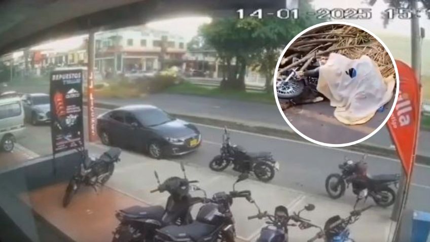 Motociclista muere en plena calle tras ser aplastado por un enorme árbol | VIDEO FUERTE