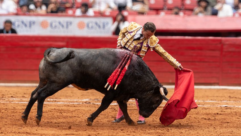 La fiesta del Toreo ¿Tradición y cultura? ¿o una fiesta salvaje?