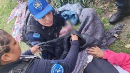 Foto que representa a Mujer de 25 años da a luz en parque de la alcaldía Cuauhtémoc; la auxiliaron policías