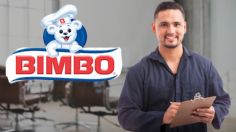 BIMBO abre nuevas vacantes para trabajar en CDMX, ofrece prestaciones de ley y descuentos exclusivos a empleados