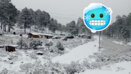 Foto que representa a ONDA FRÍA, aire ártico y Frente frío 24 golpearán a México; ¿en dónde y a qué hora caerá nieve?