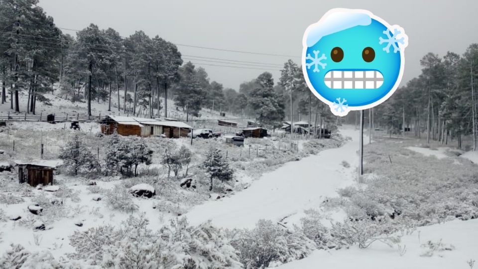 Alerta por caída de nieve en México