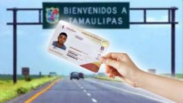 Foto que representa a ¿Cuánto cuesta la licencia de conducir en Tamaulipas en 2025? | PRECIO y REQUISITOS