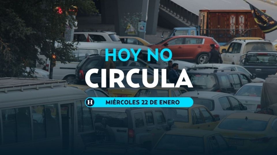 Revisa las placas y el engomado de tu vehículo