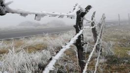 Foto que representa a Por caída de nieve y FRÍO EXTREMO suspenden clases en 8 municipios de Guanajuato