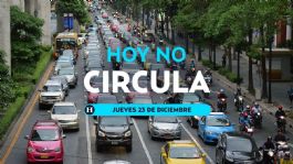 Foto que representa a Hoy No Circula: ¿qué autos descansan este JUEVES 23 de enero de 2025 en CDMX y Edomex?