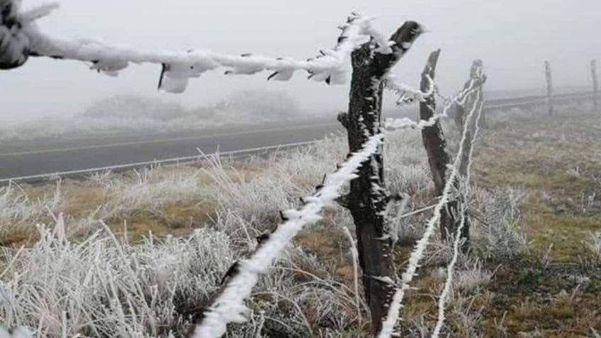 Por caída de nieve y FRÍO EXTREMO suspenden clases en 8 municipios de Guanajuato