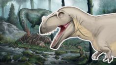 Egipto hace un hallazgo único de un dinosaurio de 100 años que era carnívoro y medía 10 metros