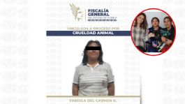 Foto que representa a Vinculan a proceso a mujer que atacó a machetazos a perrita