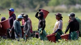 Foto que representa a Mañanera del Pueblo: resaltan importancia de mexicanos en la economía de Estados Unidos