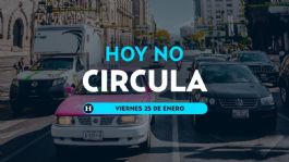 Foto que representa a Hoy No Circula: ¿qué autos descansan este VIERNES 24 de enero de 2025 en CDMX y Edomex?