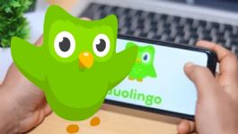 Foto que representa a Duolingo anuncia la desesperada búsqueda de su mascota, así reaccionaron los usuarios