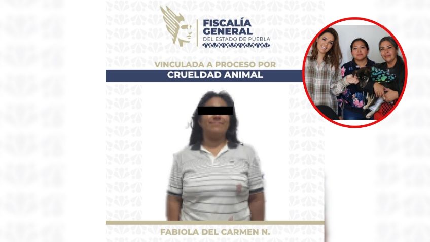 Vinculan a proceso a mujer que atacó a machetazos a perrita