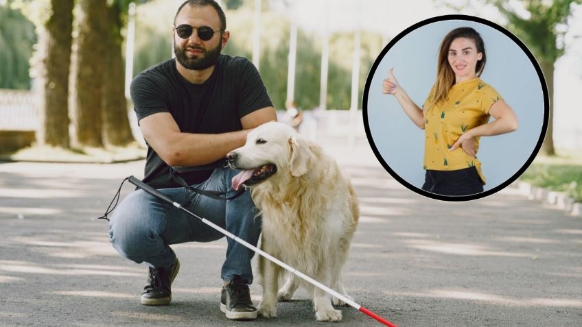 5 recomendaciones que debes seguir cuando ves a un perro guía en las calles