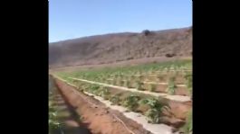 Foto que representa a Desalojan escuelas en Apatzingán y suspenden clases por enfrentamientos