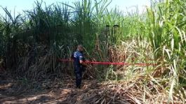 Foto que representa a Localizan 5 cuerpos en los municipios de Huehuetán y Palenque