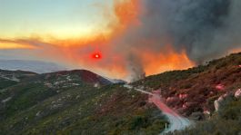 Foto que representa a Incendio forestal en San Diego afecta más de 5 mil hectáreas, alertan por evacuaciones 