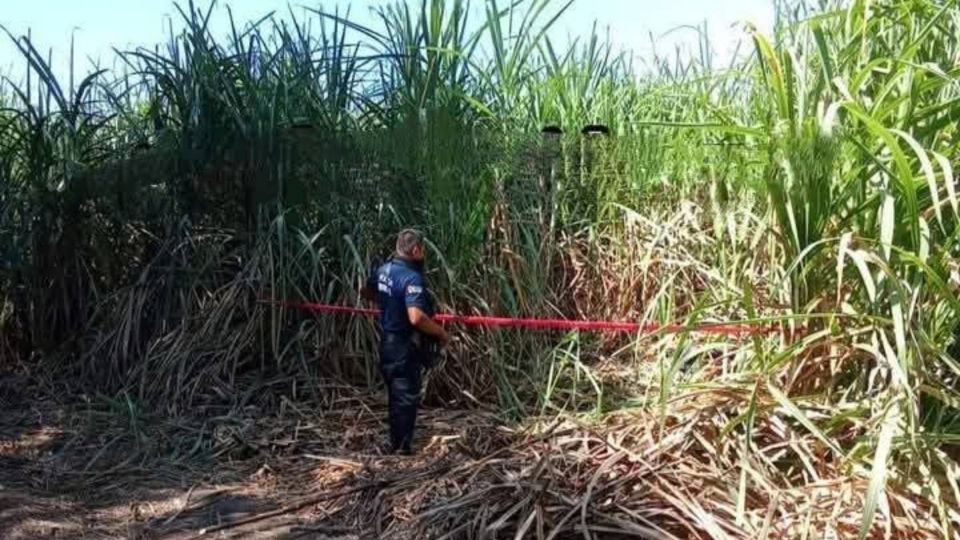 Policías acordonaron ma zona donde cuatro cuerpos fueron hallados