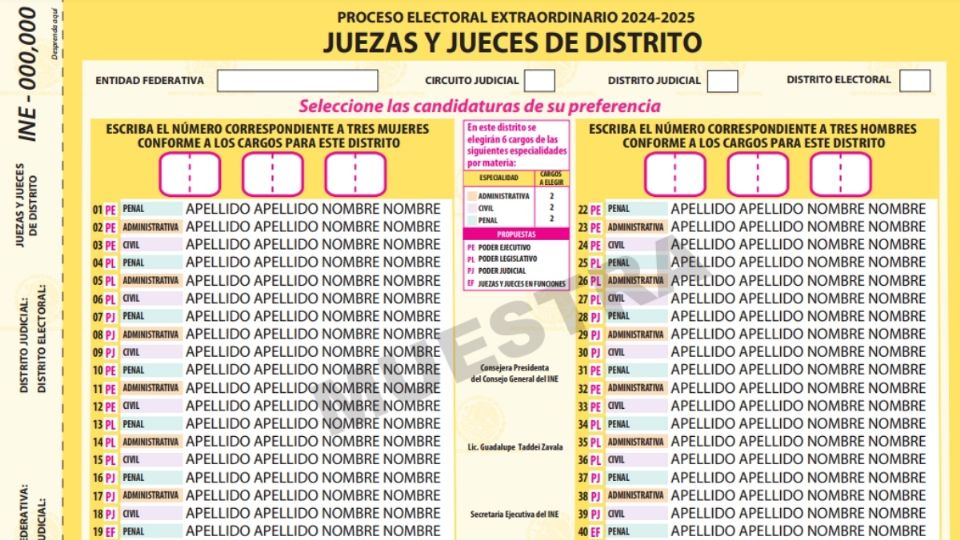 Esta es la boleta para la elección judicial.