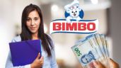 Foto ilustrativa de la nota titulada: BIMBO ofrece chamba DESDE CASA, abre VACANTES con sueldo competitivo y descuentos exclusivos en productos