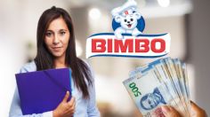 BIMBO ofrece chamba DESDE CASA, abre VACANTES con sueldo competitivo y descuentos exclusivos en productos