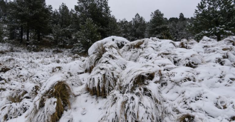 Nieve en México