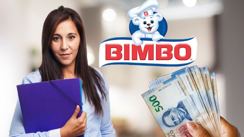 BIMBO ofrece chamba DESDE CASA, abre VACANTES con sueldo competitivo y descuentos exclusivos en productos